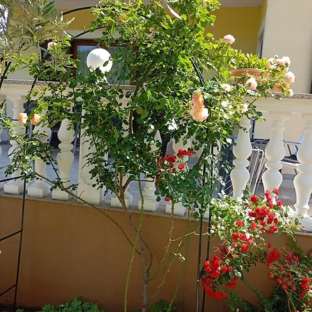 Nina Apartament