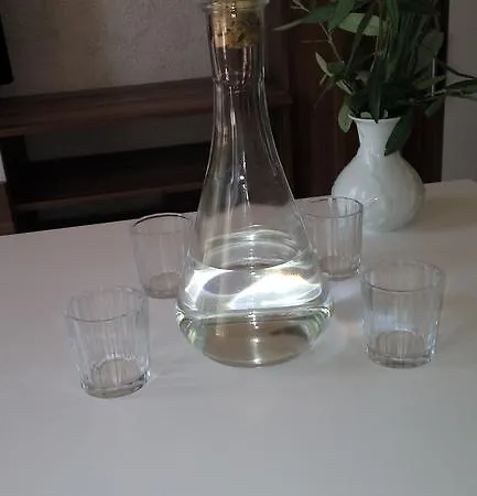Apartment Nina *